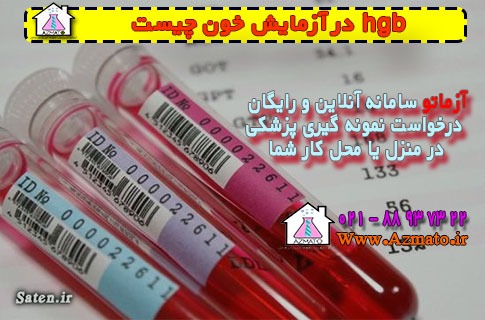 hgb در آزمایش خون چیست